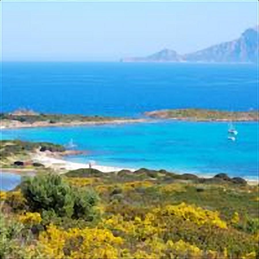 Residence Sottomonte Golfo Aranci Esterno foto